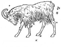 zodiac sign capricorn the goat