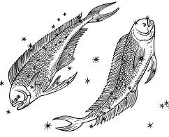 zodiac sign pisces the fishes