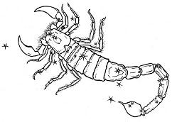 zodiac sign scorpio the scorpion