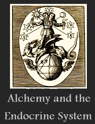 Alchemy and Endocrine System of Body