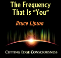 cutting edge counsiousness Bruce Lipton The Frequency That is You Interview